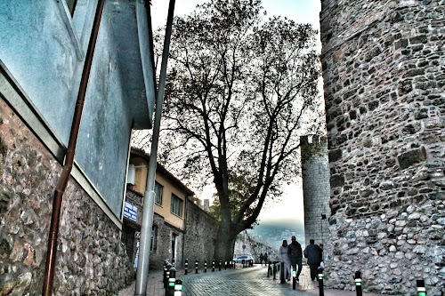 Anadolu Evi Fasıl Restaurant