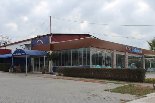 Balıkevi Restaurant