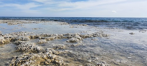 Mushroom Beach