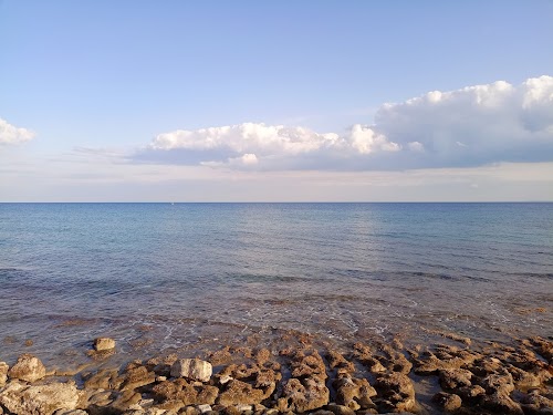 Boğaz Harbour