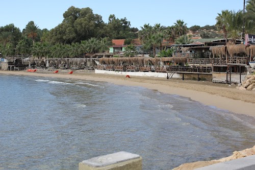 Boğaz Harbour