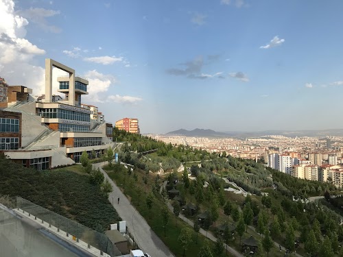 Esertepe Muhammed Ali Parkı