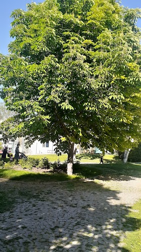 Meclis Parkı