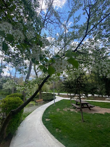 Botanik Parkı