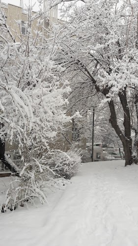 Gül Bahçesi Parkı