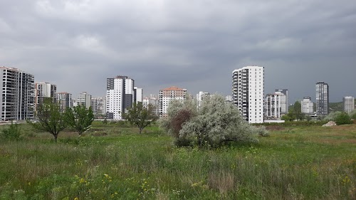 Keçiören Lavanta ve Gül Bahçesi