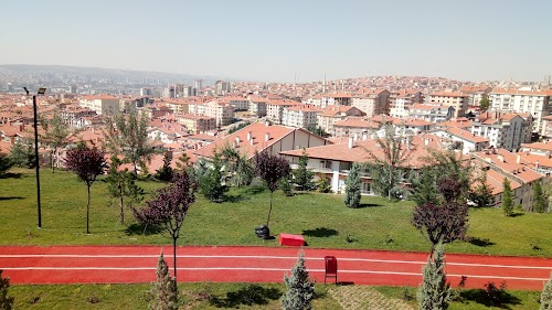 Aşık Veysel Parkı