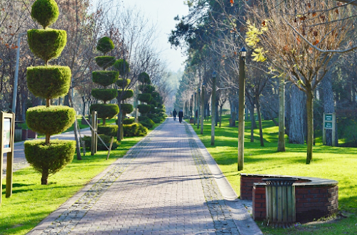 Denizli Büyükşehir Belediyesi Çamlık Parkı