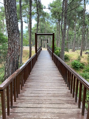 Denizli Büyükşehir Belediyesi Çamlık Parkı