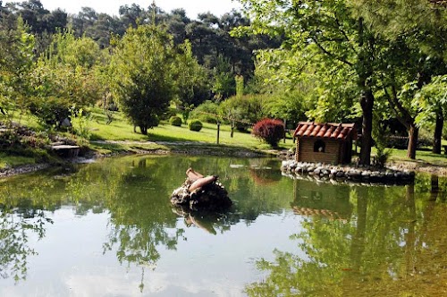 Denizli Büyükşehir Belediyesi Çamlık Parkı