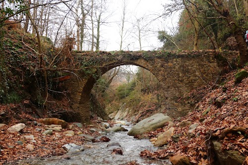 Altındere Vadisi